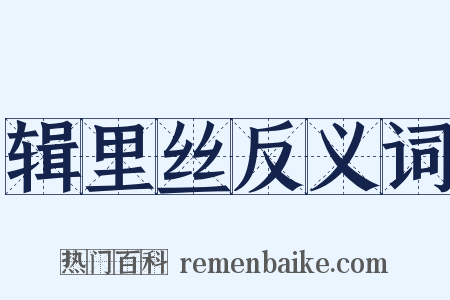 辑里丝反义词是什么意思的图片